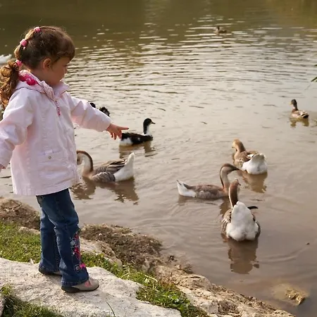 Terme - Terme Kompleks wypoczynkowy 4*