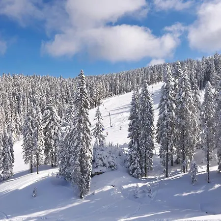 Terme - Terme Kompleks wypoczynkowy 4*