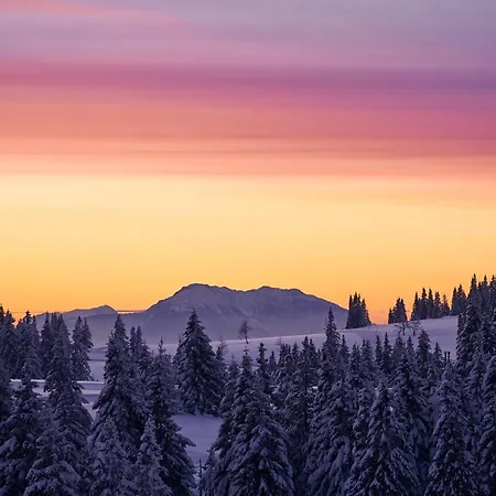 Terme - Terme פארק נופש 4*