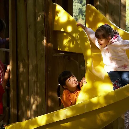 Terme - Terme 4* Zreče