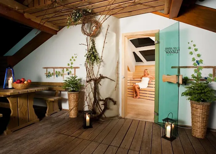 Terme - Terme 4* Zrece