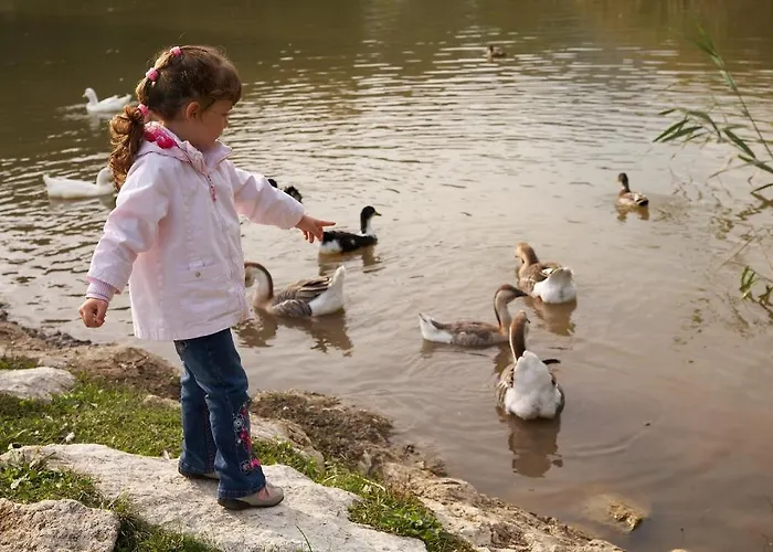 Terme - Terme Počitniški park 4*