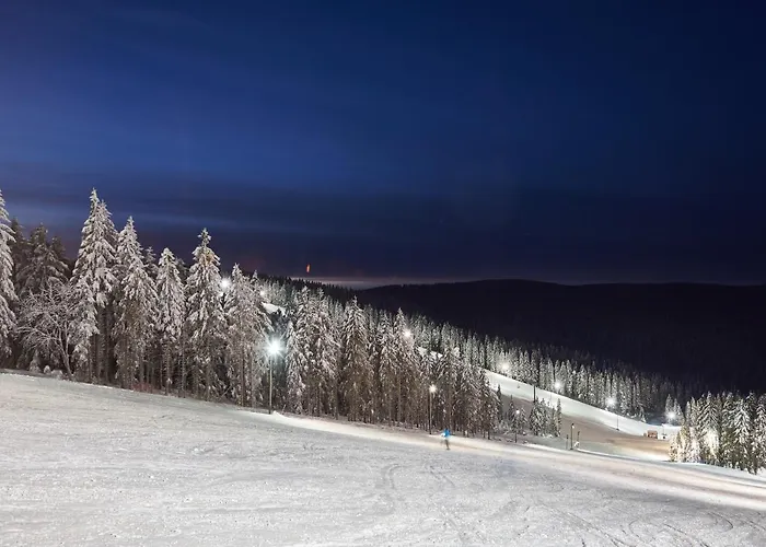 Terme - Terme Parco vacanze 4*