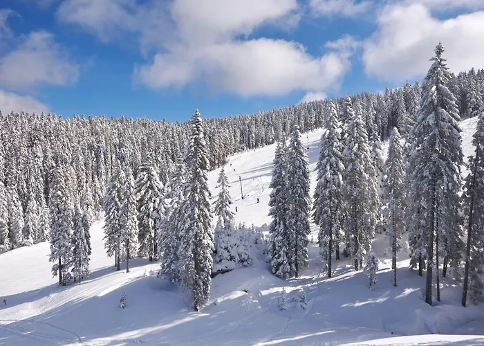 Terme - Terme Počitniški park 4*
