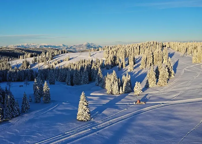 Terme - Terme Počitniški park 4*