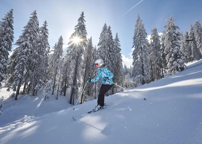 Terme - Terme Počitniški park 4*