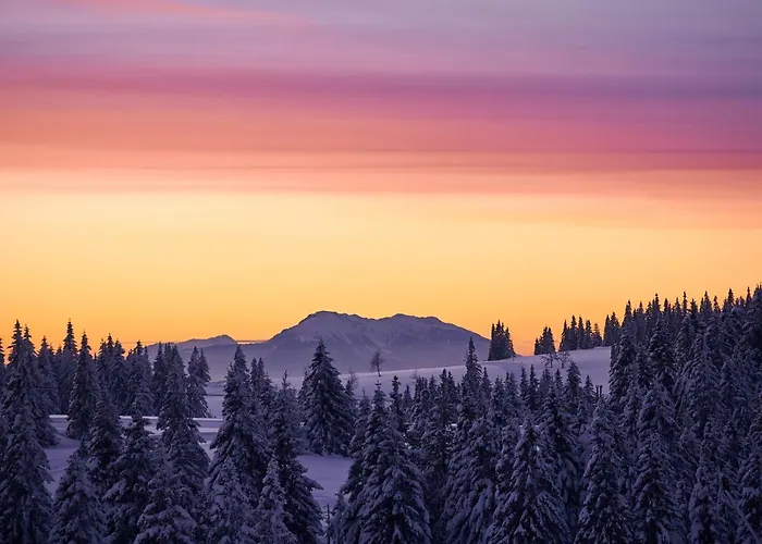 Terme - Terme Parque de vacaciones 4*